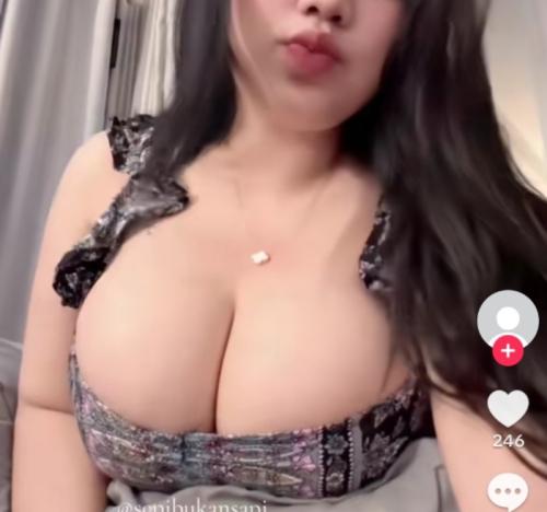 Sepibukansapi oblv7 gde bgt