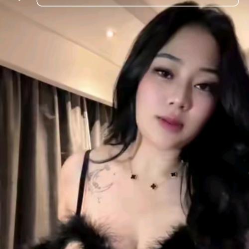 Sepibukansapi toktok 1