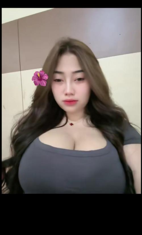 Sepibukansapi toktok 2