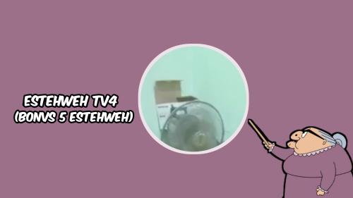 ESTEHWEH TV4