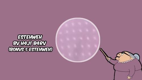 ESTEHWEH BV H4J1 B4RV